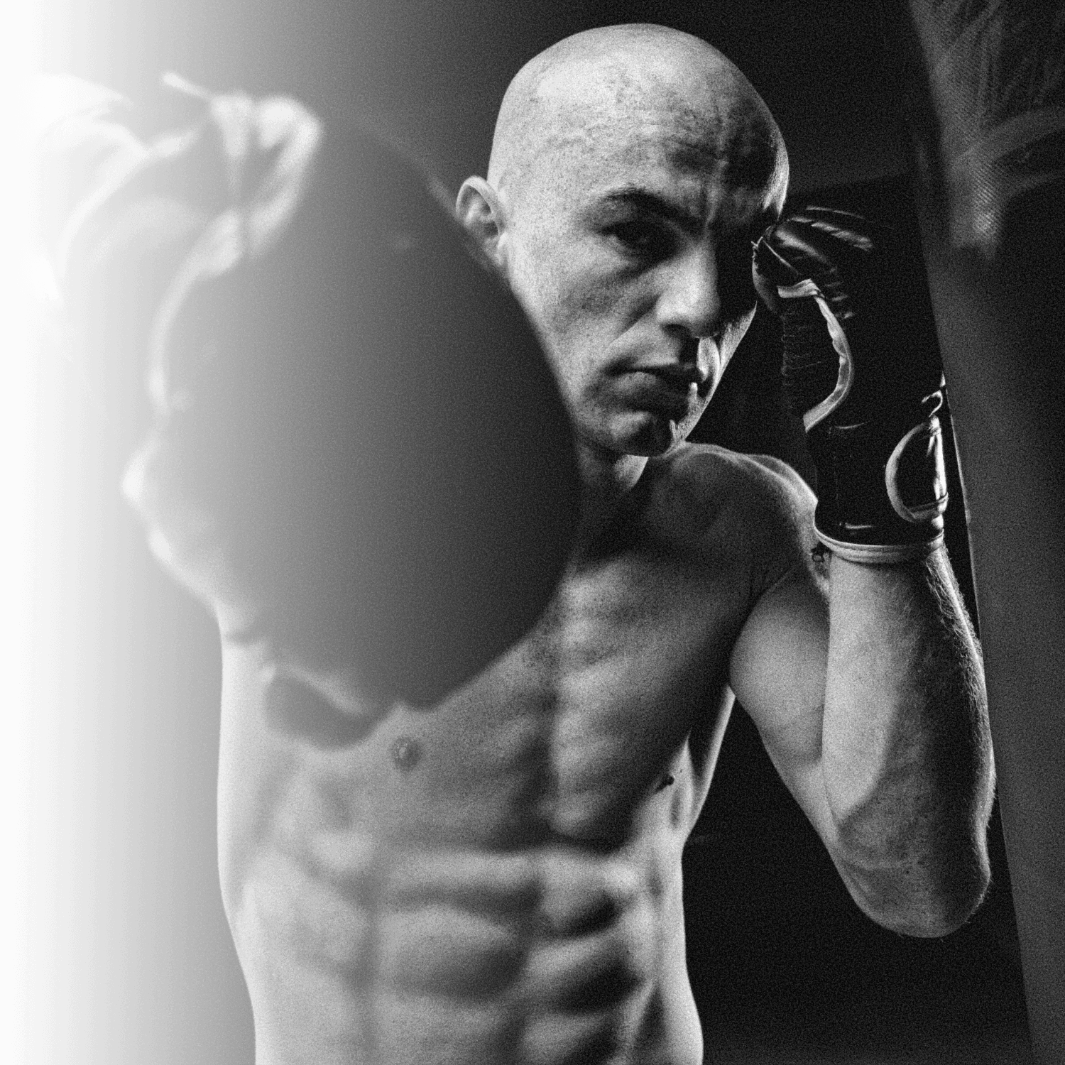 About Us Animo Boxing & Mixed Martial Arts