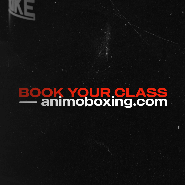 Animo Boxing & Mixed Martial Arts out of the box, into the ring.