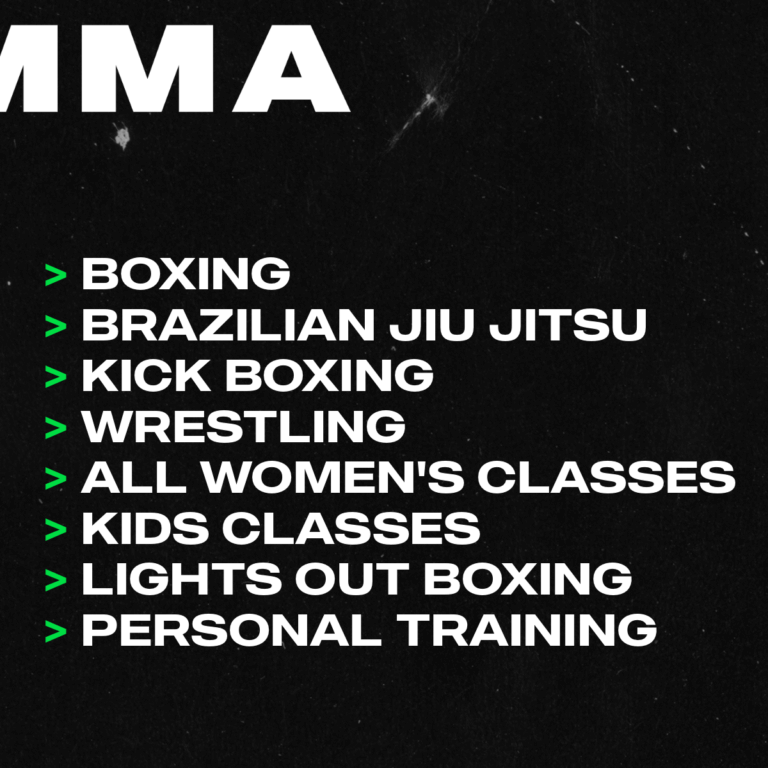 Animo Boxing & Mixed Martial Arts out of the box, into the ring.