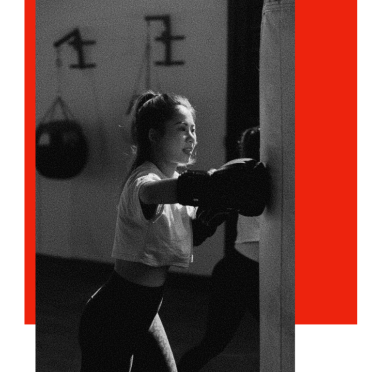 Animo Boxing & Mixed Martial Arts out of the box, into the ring.