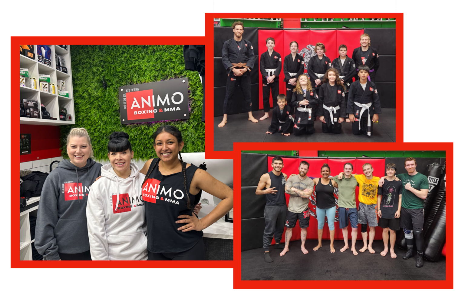 Home Animo Boxing & Mixed Martial Arts