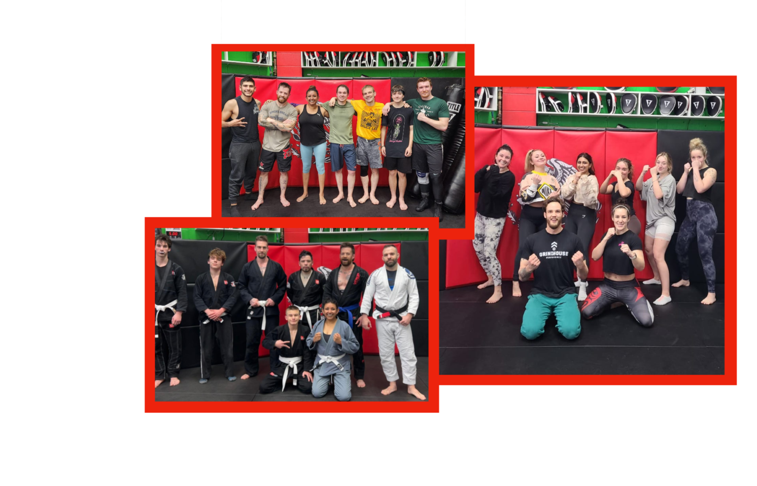 Home Animo Boxing & Mixed Martial Arts