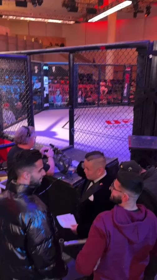 Book a Class Animo Boxing & Mixed Martial Arts