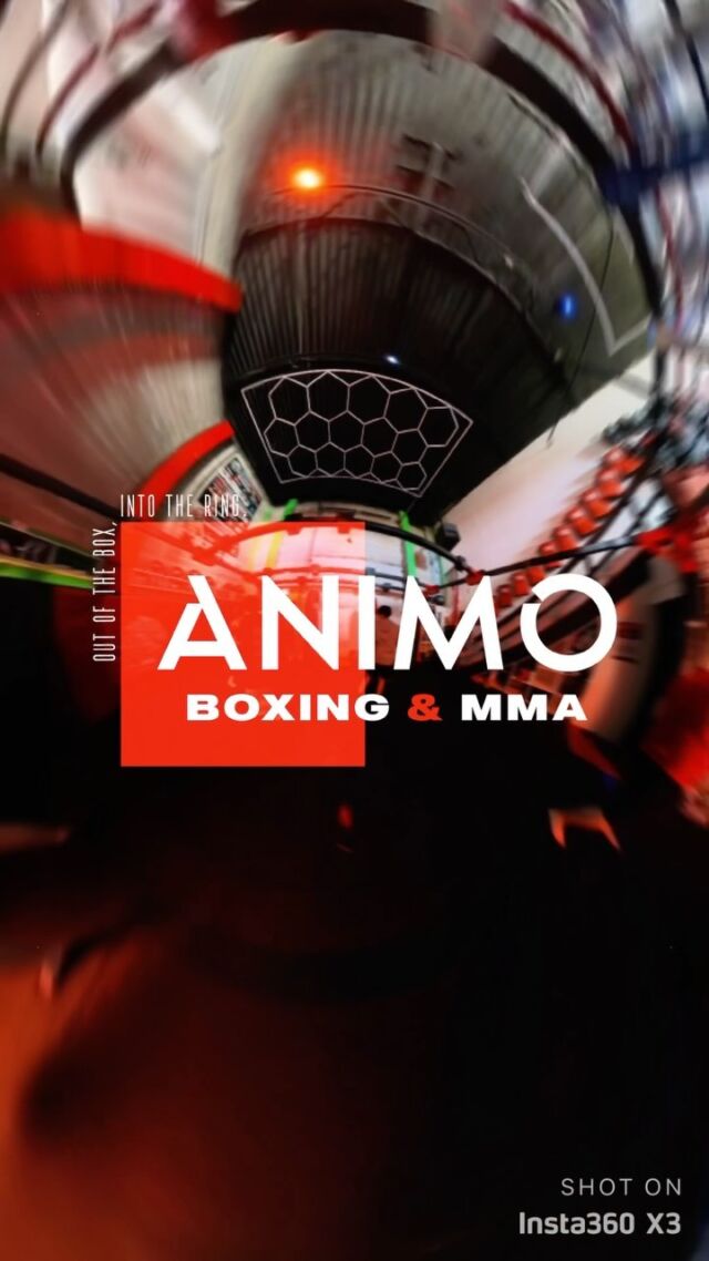 Comp Team Animo Boxing & Mixed Martial Arts